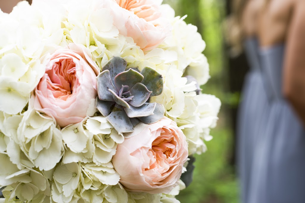 Great White North Photography | 4625 Lakeside St, Plympton-Wyoming, ON N0N 1J6, Canada | Phone: (519) 402-3964