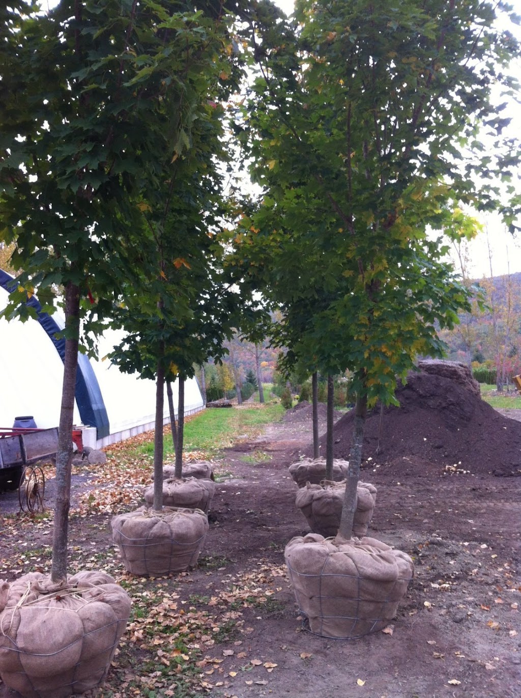 Horticulture Latrémouille | 1892 Chem. de la Montagne, Luskville, QC J0X 2G0, Canada | Phone: (819) 455-9171