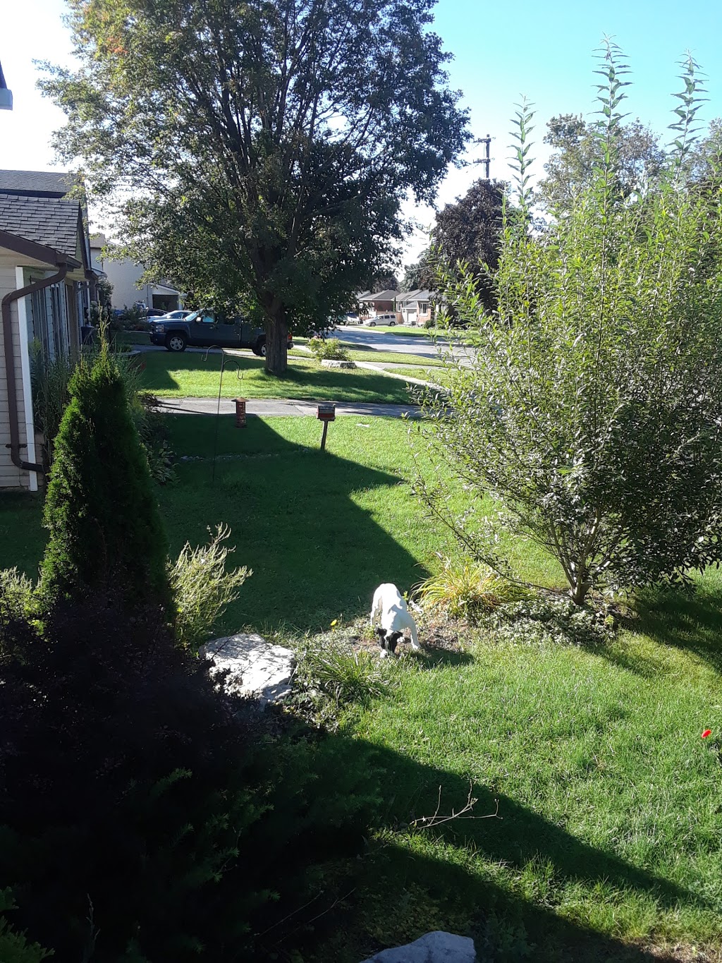 Bowmanville Off Leash Dog Park | Waterfront Trail, Courtice, ON L1E 2S6, Canada | Phone: (905) 623-6380