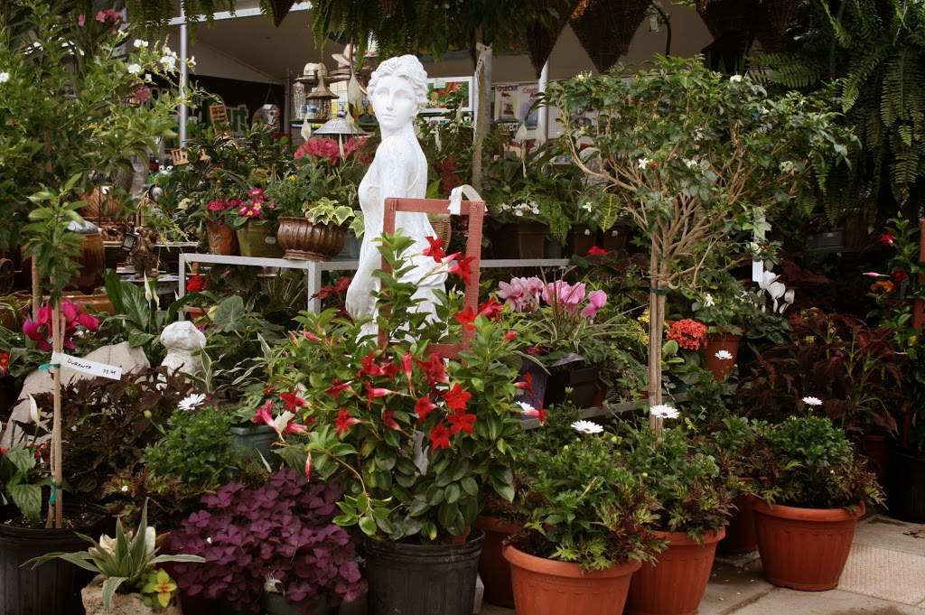 Springwater Garden Center | 13730 Simcoe County Road 27, Phelpston, ON L0L 2K0, Canada | Phone: (705) 322-2389