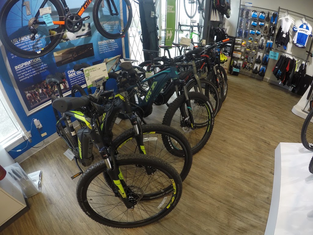 Giant Langley | 20353 64 Ave, Langley City, BC V2Y 1N5, Canada | Phone: (604) 534-3993