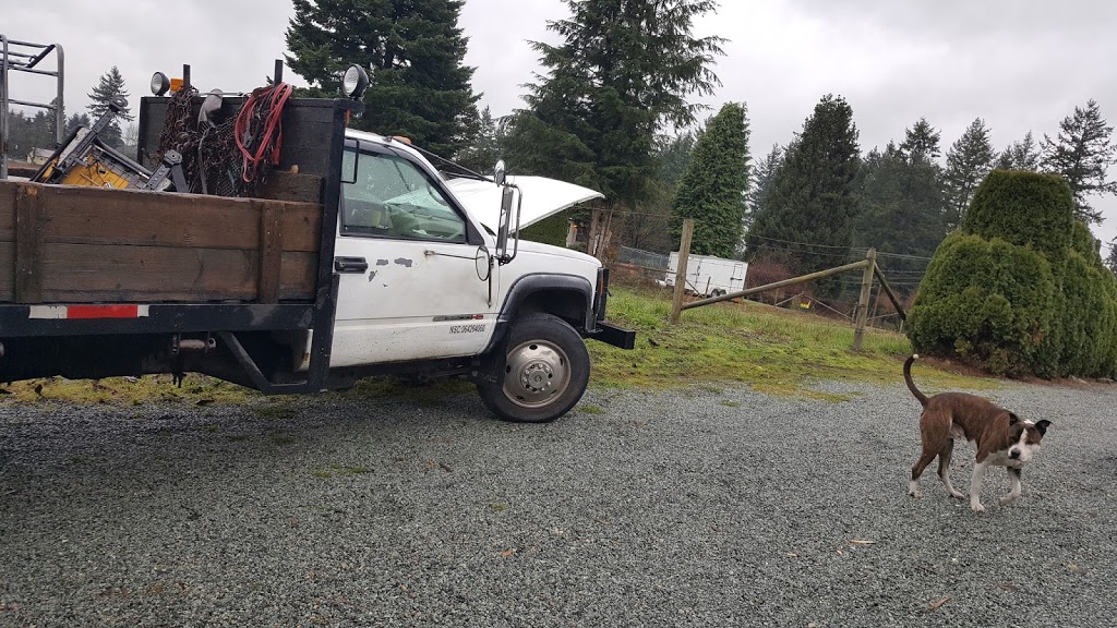 Waynes cash for cars | Mountainview Rd, Mission, BC V2V 4J1, Canada | Phone: (604) 217-4391