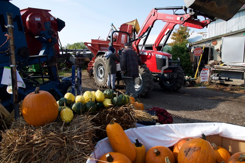 Reids Potatoes and Farm Market | 833153 4th Line, (Orangeville), Mono, ON L9W 5Z3, Canada | Phone: (519) 940-4096