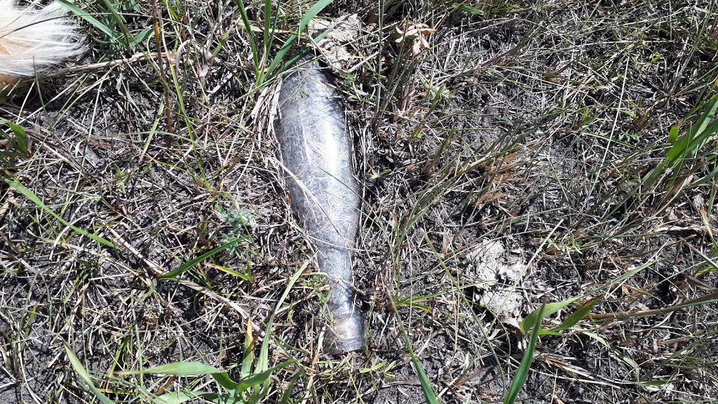 Grassland Nature Trail | Unnamed Road, Wreford No. 280, SK S0G 4M0, Canada | Phone: (306) 836-2022