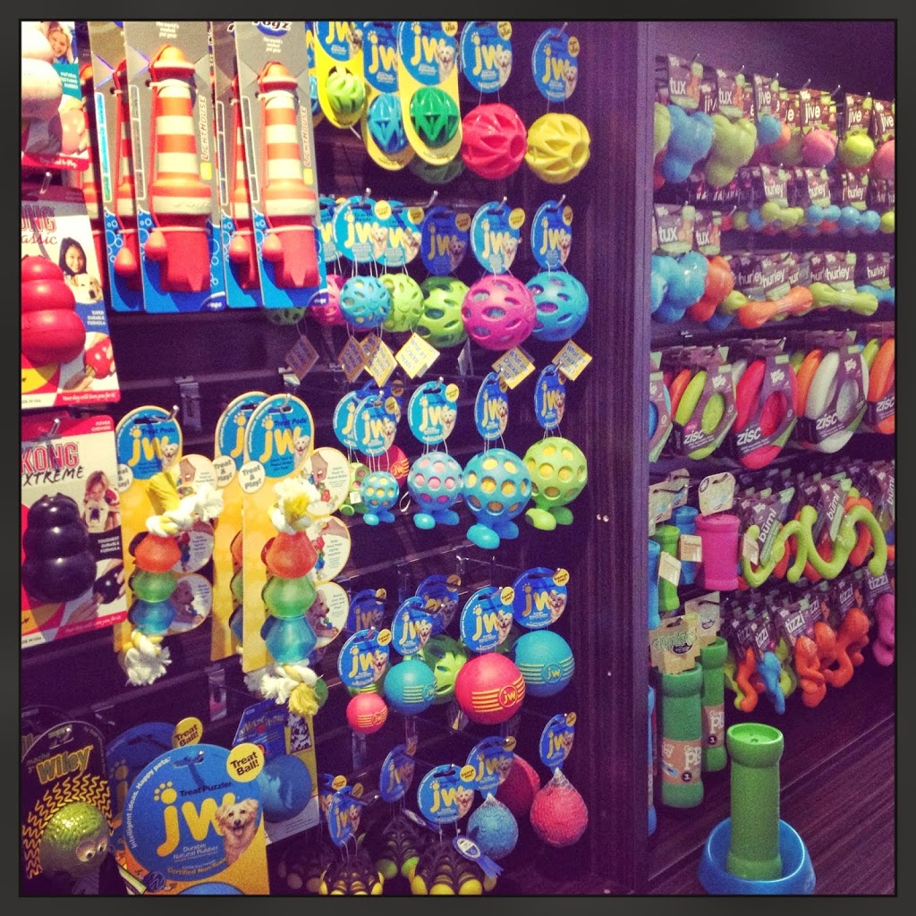 Our Dog & Company | 129 Pedersen Dr, Aurora, ON L4G 0E3, Canada | Phone: (905) 713-3489
