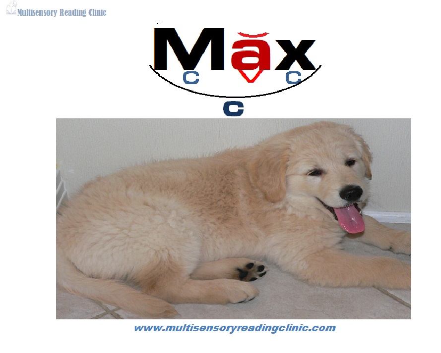 Multisensory Reading Clinic Dyslexia Therapeutic Tutoring | 3220 Rue Éliane, Laval, QC H7P 5N6, Canada