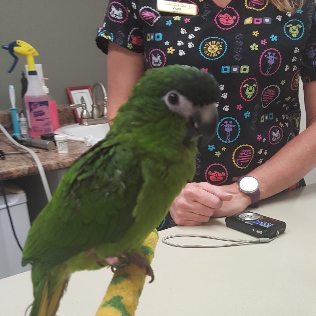 Millennium City Veterinary Hospital | 1866 Liverpool Rd, Pickering, ON L1V 1W3, Canada | Phone: (905) 420-9555