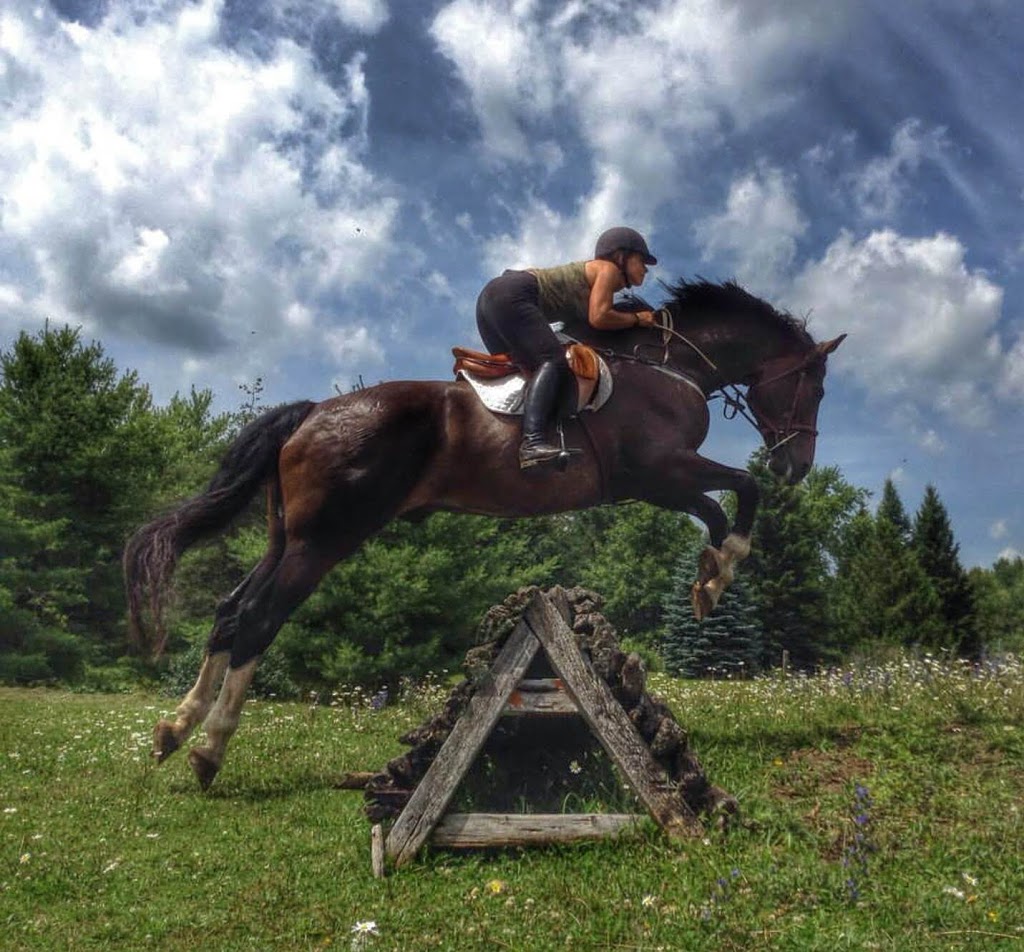 Hunters Run | 4284 Sideroad 10 S, Cambridge, ON N3C 2V4, Canada | Phone: (905) 334-1836