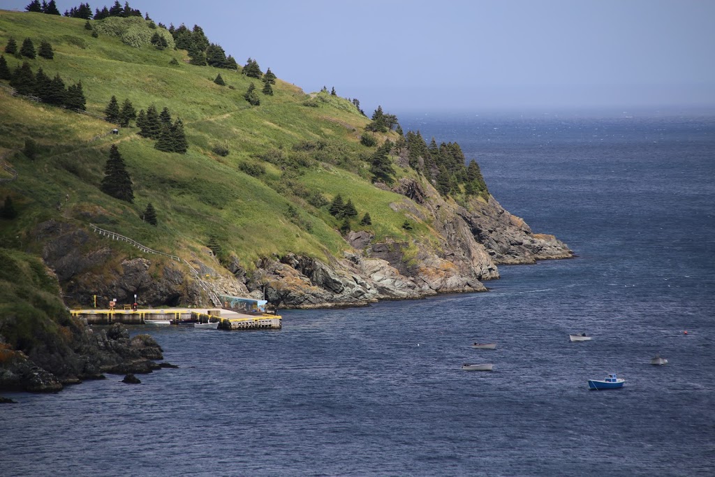 Canada Post | 1412 Torbay Rd, Torbay, NL A1K 1A0, Canada