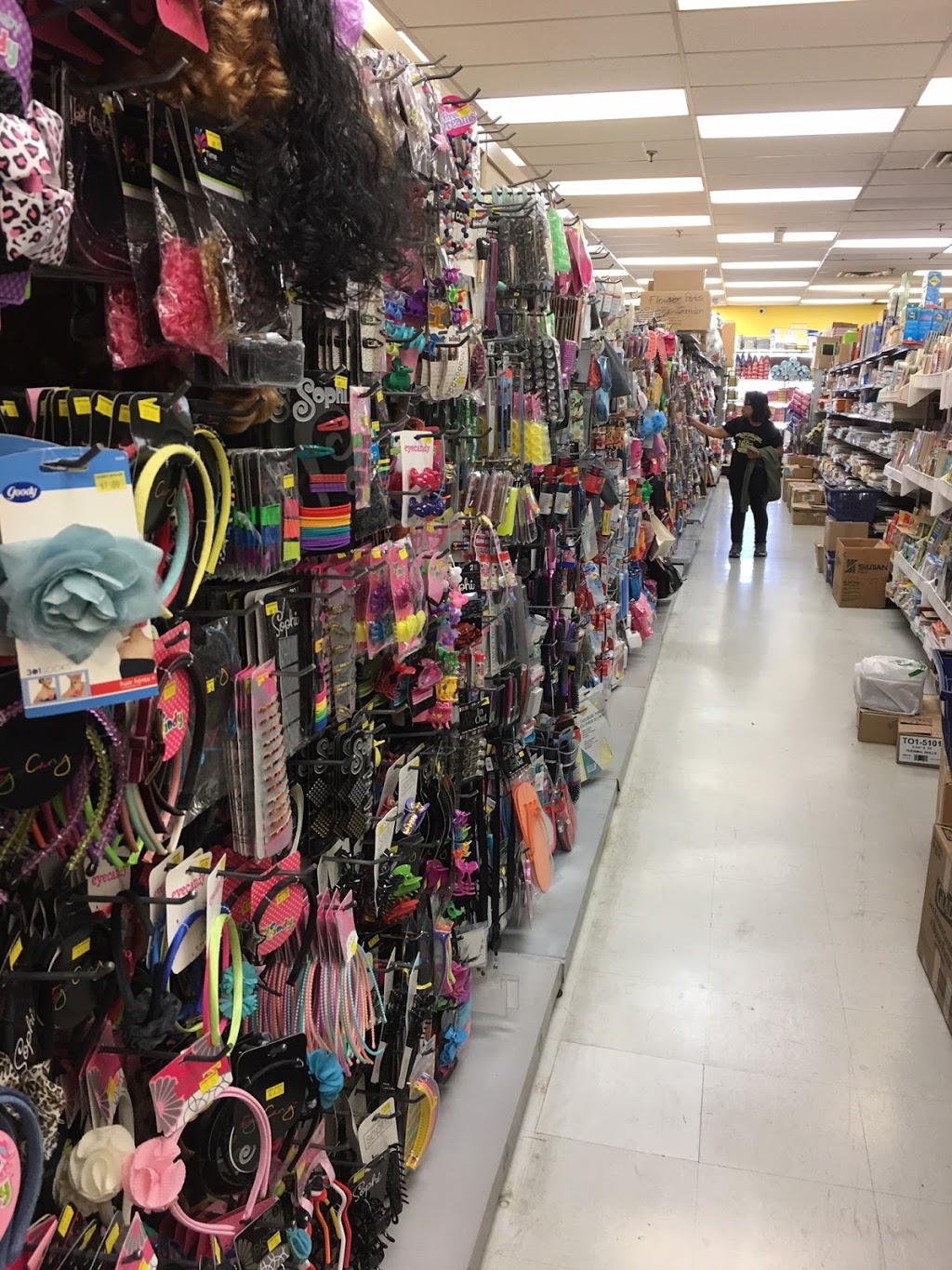 Looney Bazaar | 1255 The Queensway, Etobicoke, ON M8Z 1S2, Canada | Phone: (416) 255-6363