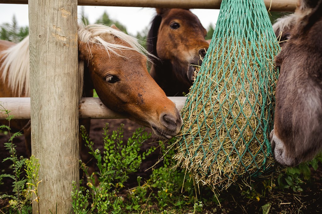 NAG Bags - Slow Hay Feeders | 600 Similkameen Ave, Princeton, BC V0X 1W0, Canada | Phone: (250) 295-5052