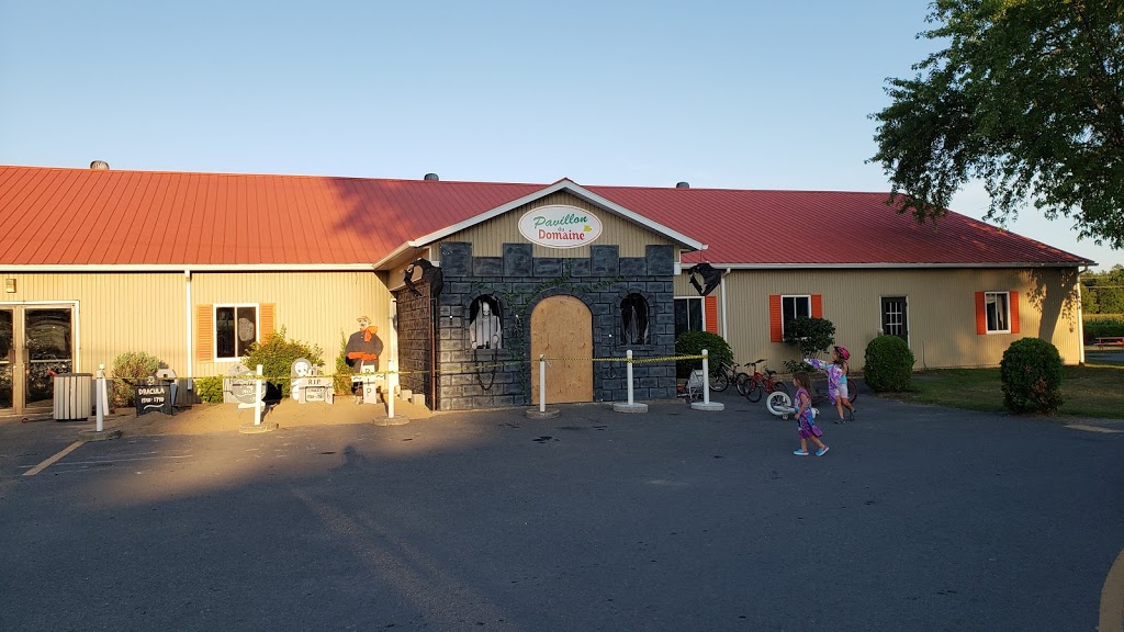 Camping Domaine Du Reve | 85 Rang de la Côte Double, Sainte-Angèle-de-Monnoir, QC J0L 1P0, Canada | Phone: (450) 469-2524