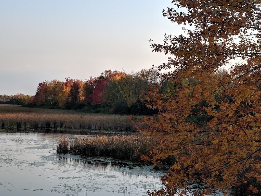 Tay Marsh Lookout Tower | Perth Wildlife Reserve Trails, Perth, ON K7H 3C7, Canada | Phone: (613) 692-3571