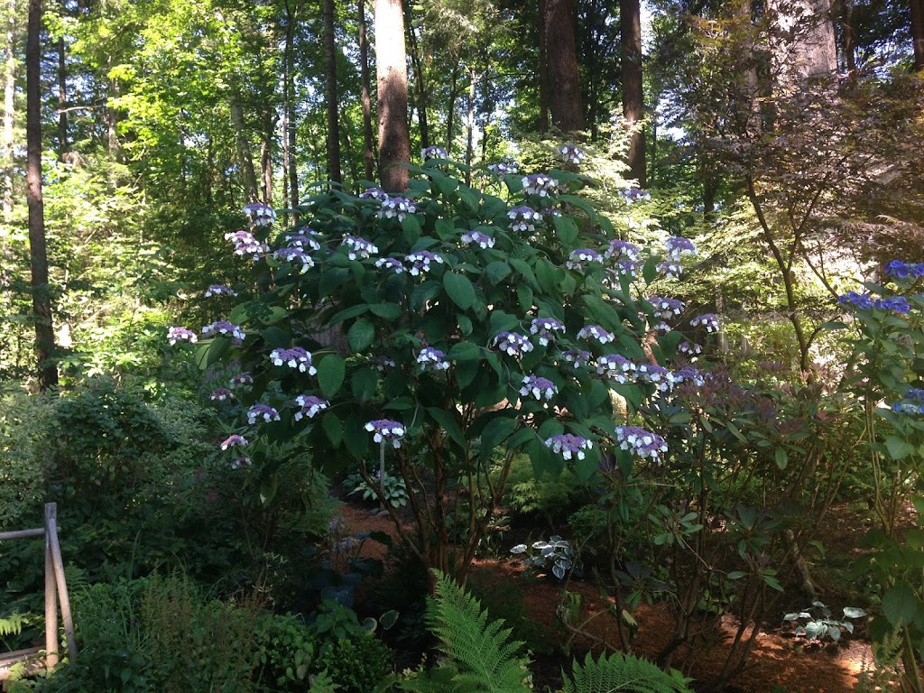 Stone Tree Cottage | 2271 Lake Trail Rd, Courtenay, BC V9N 9C3, Canada | Phone: (250) 338-9785