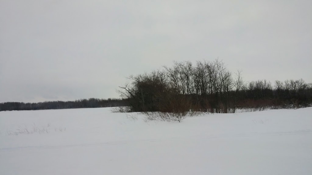 Manitou and Community Arena | 212 Carrie St, Manitou, MB R0G 1G0, Canada | Phone: (204) 242-2636