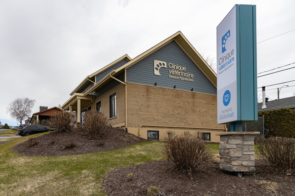 Clinique Vétérinaire Beauce-Appalaches Enr | 410 144e Rue, Saint-Georges, QC G5Y 2K4, Canada | Phone: (418) 227-3006