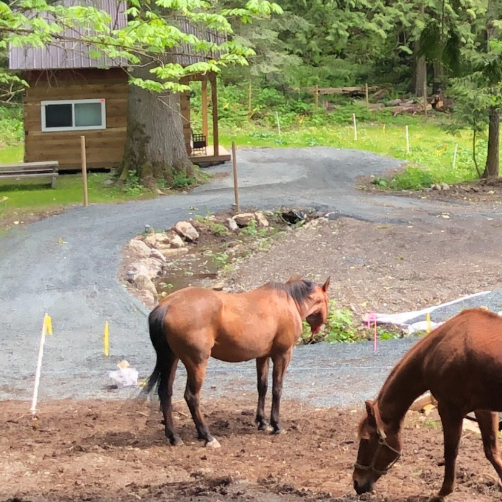 Cultus Lake Lakewood Vacation Cabin | 4485 Columbia Valley Hwy, Cultus Lake, BC V2R 5B6, Canada | Phone: (604) 791-3361