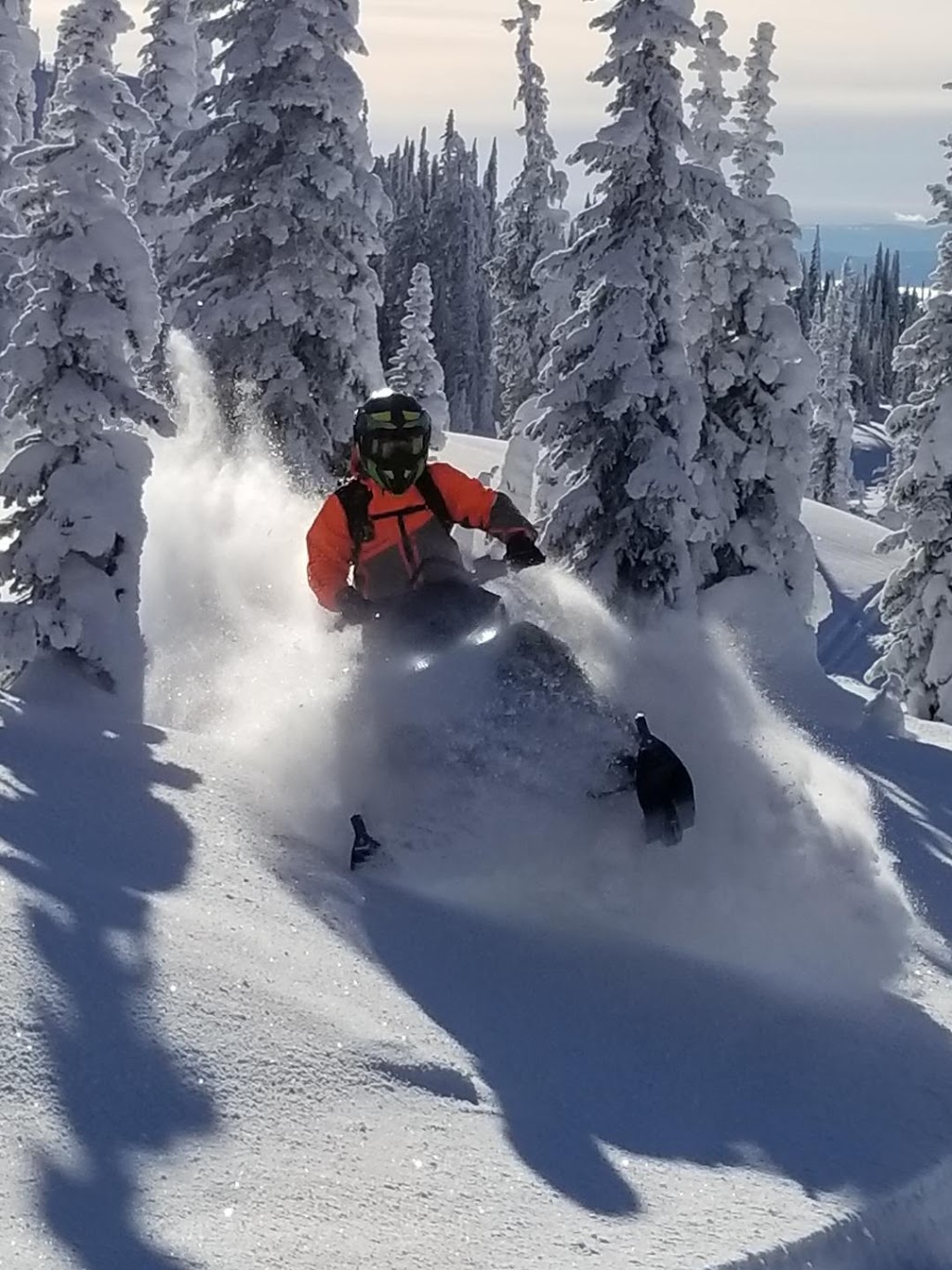 Apex Alpine Adventures | 1680 70 St SE, Salmon Arm, BC V1E 1X4, Canada | Phone: (250) 463-9896