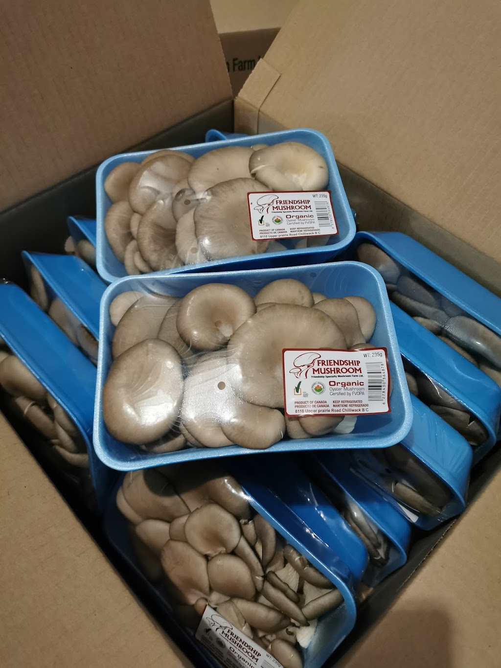 Friendship Specialty Mushroom Farm | 8110 Upper Prairie Rd, Chilliwack, BC V2P 6H3, Canada | Phone: (778) 389-1818