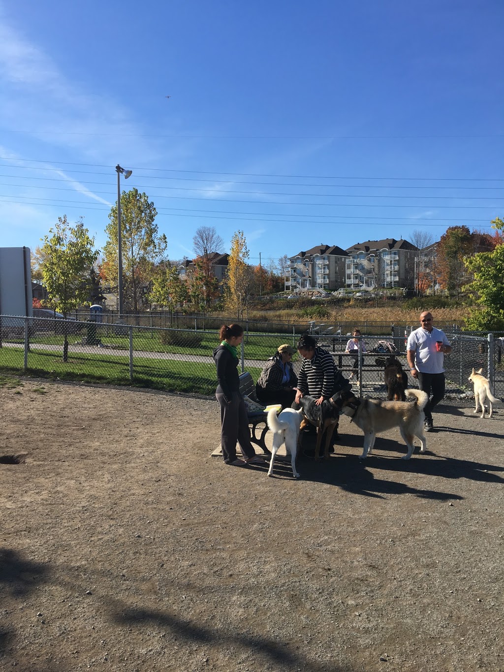 Parc canin | 425 Boul Jean-Baptiste-Rolland E, Saint-Jérôme, QC J7Z 2G9, Canada
