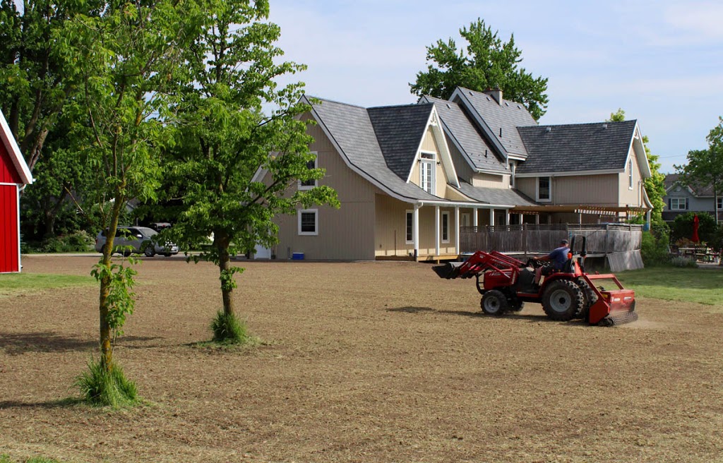 Shark Lawn Specialists | 6924 Horizon Trail, Millbank, ON N0K 1L0, Canada | Phone: (519) 900-5684