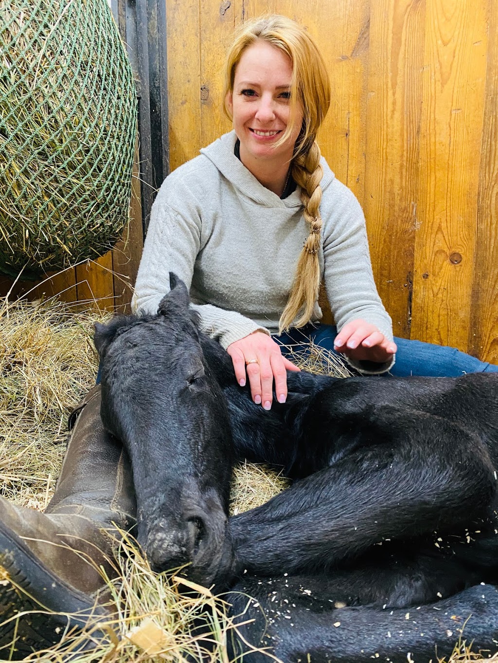 Baroque Friesian Ranch | Site 114 comp 20 RR 1, 4001 Ste Anne Trail, Alberta Beach, AB T0E 0A1, Canada | Phone: (403) 813-6691