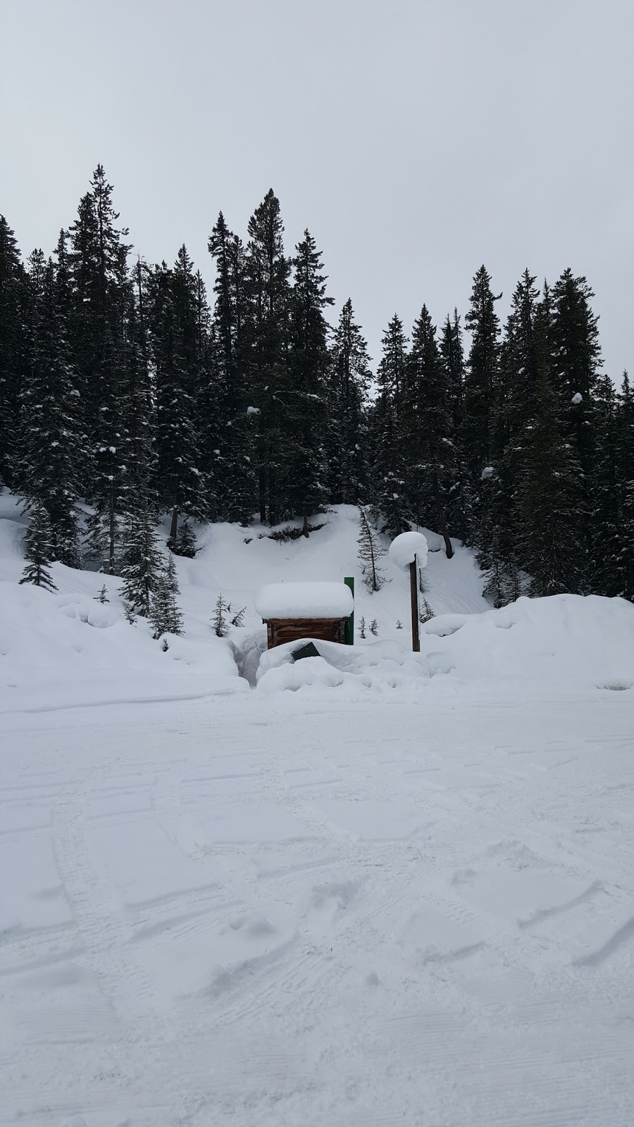 Northern Art Impressions | B, Samson Mall, Lake Louise, AB T0L 1E0, Canada | Phone: (403) 522-2038