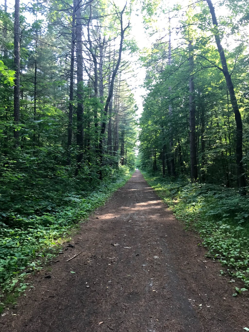 Durham Regional Forest | Concession Rd 7, Uxbridge, ON L9P 1R4, Canada | Phone: (905) 852-0095