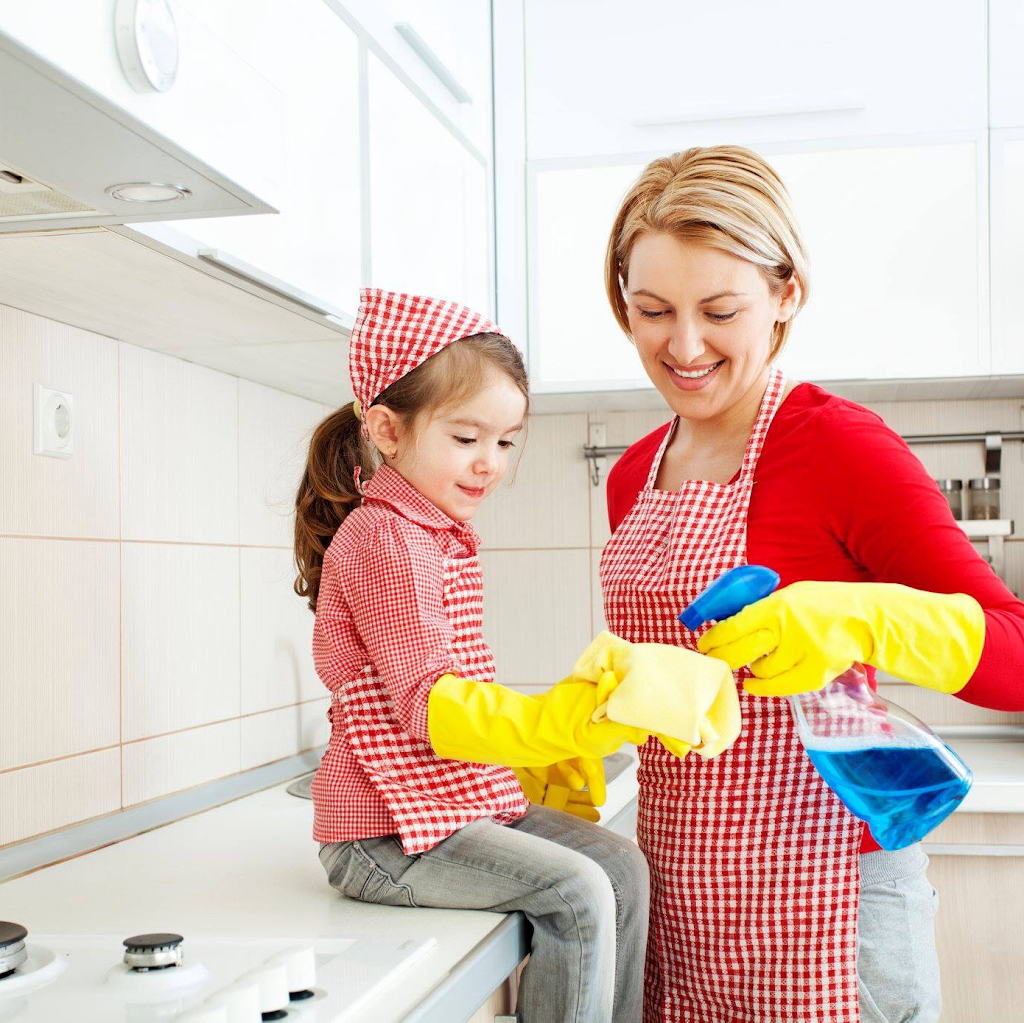 Maid The Day Inc. | 800 David Manchester Rd, Carp, ON K0A 1L0, Canada | Phone: (613) 853-4220