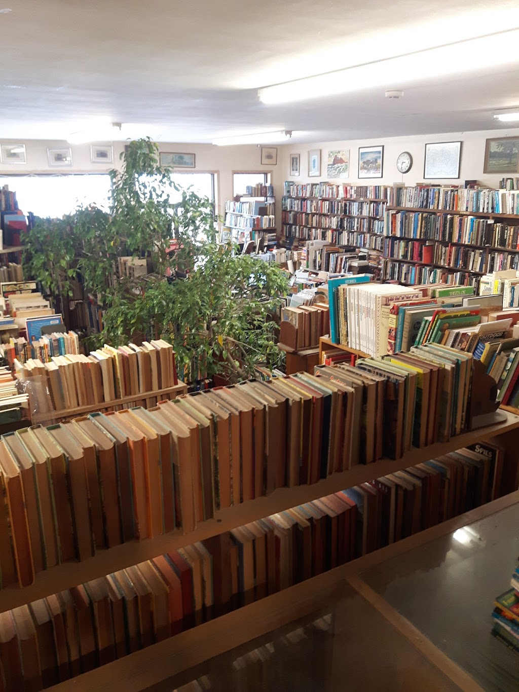 Bridgeburg Books | 16 Jarvis St, Fort Erie, ON L2A 2S1, Canada | Phone: (905) 871-8484