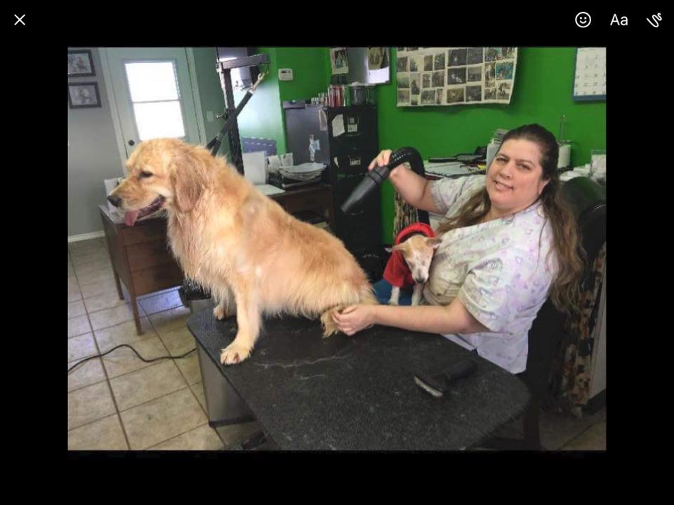 Spaw 4 Paws | 1327 Montreal St, Kingston, ON K7K 3L7, Canada | Phone: (613) 531-4262