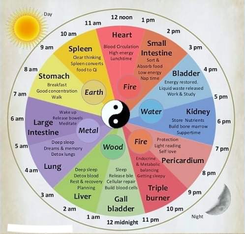 Philippe Blanc ayurveda/tuina | 1702 Rue Giguère, Magog, QC J1X 7S3, Canada | Phone: (873) 554-1524