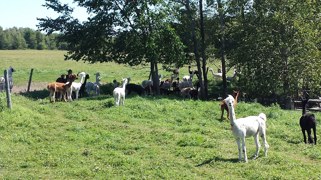Base De Plein Air Domaine Fraser | 684, route 165, Saint-Ferdinand, QC G0N 1N0, Canada | Phone: (418) 428-9551