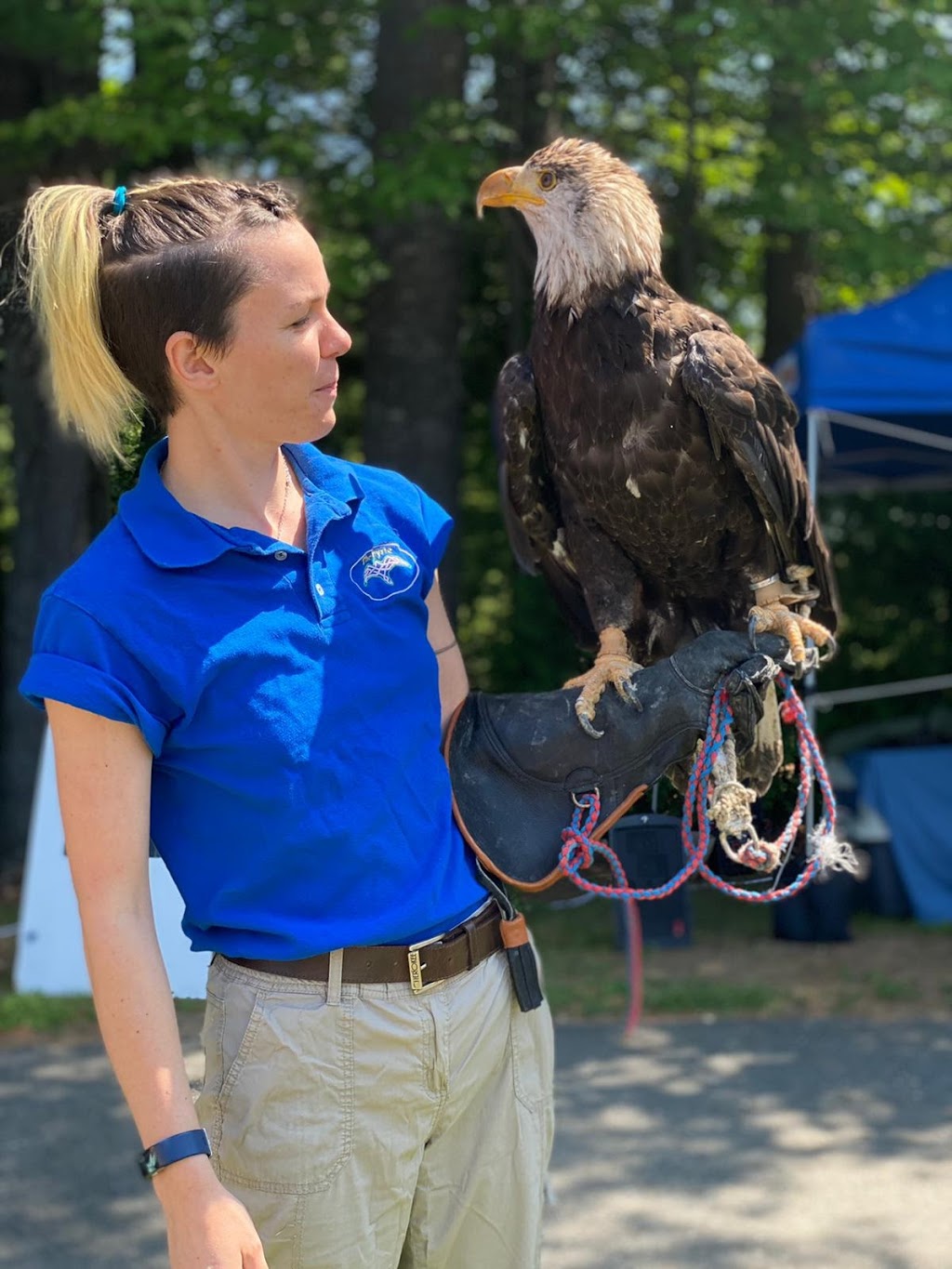 The Eyrie | 922 Peterborough 504, Apsley, ON K0L 1A0, Canada | Phone: (519) 427-6806