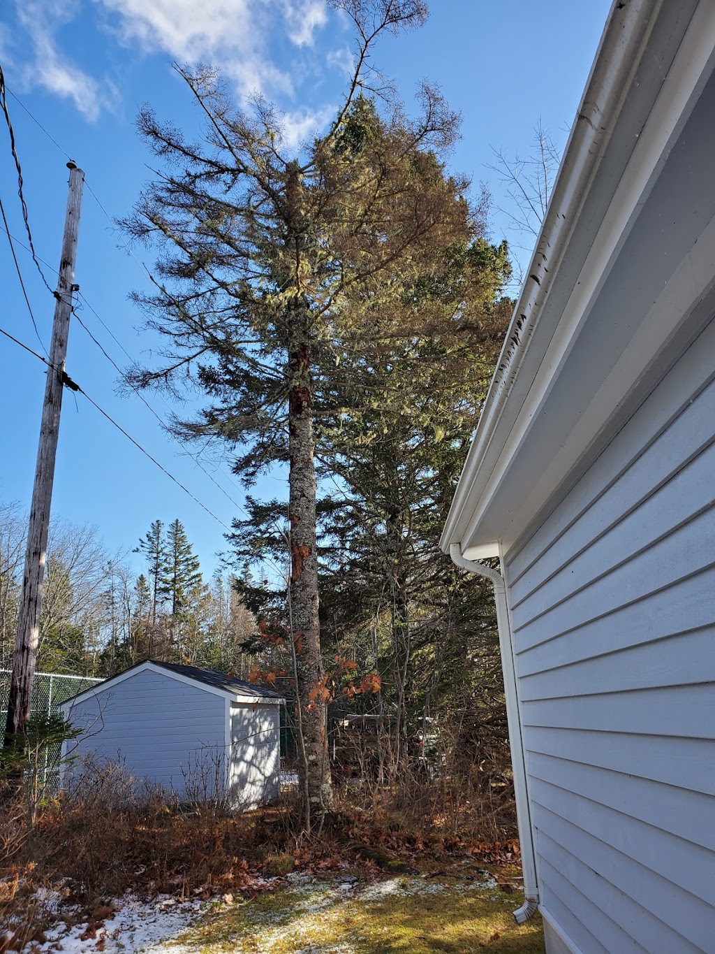 Conserve A Tree Forestry | 54 Lower Grant Rd, Chester Basin, NS B0J 1K0, Canada | Phone: (902) 275-8450