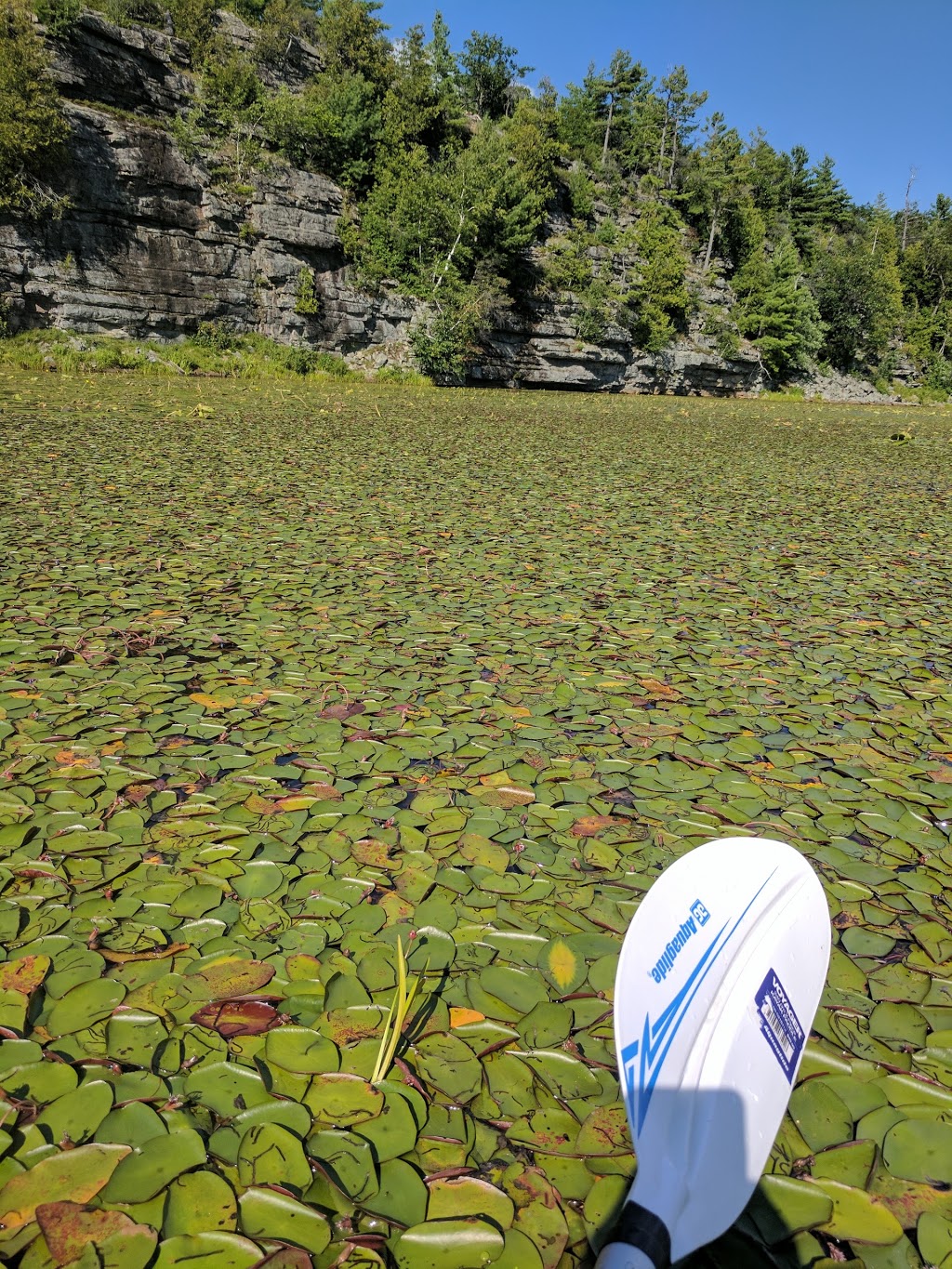 Flat Rock State Forest | 4083 Military Turnpike, Altona, NY 12910, USA