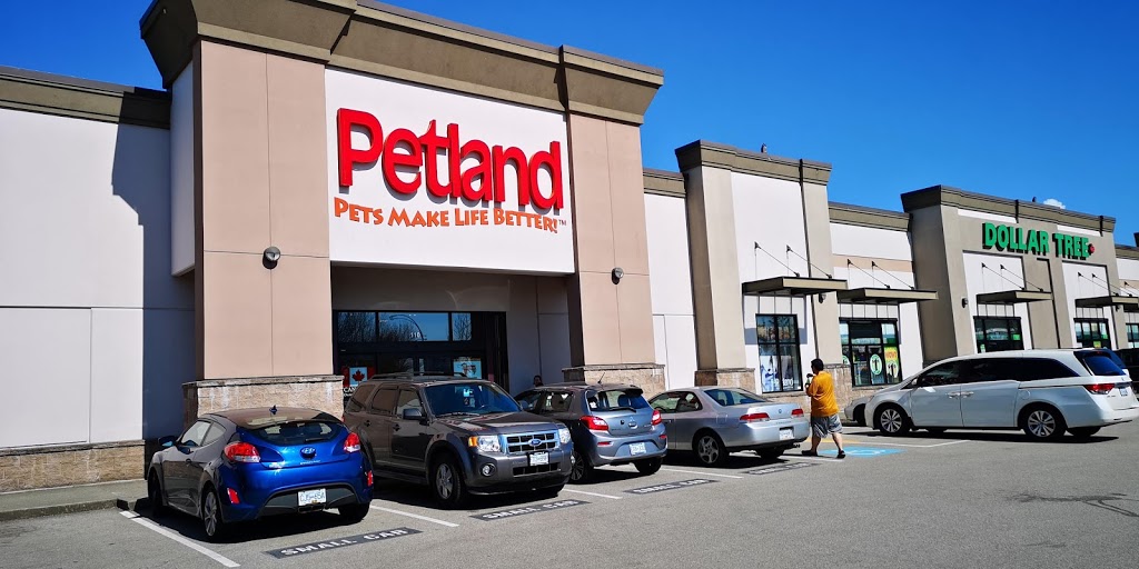 Petland Port Coquitlam | pet store | 1097 Nicola Ave, Port Coquitlam, BC V3B 8B2, Canada | 6044649770 OR +1 604-464-9770