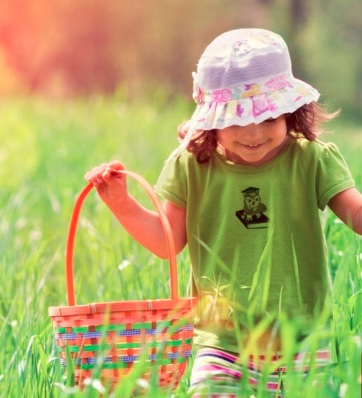 Wise Owl Montessori Childcare Inc. | 5575 Marine Dr, West Vancouver, BC V7W 2R4, Canada | Phone: (604) 603-4545