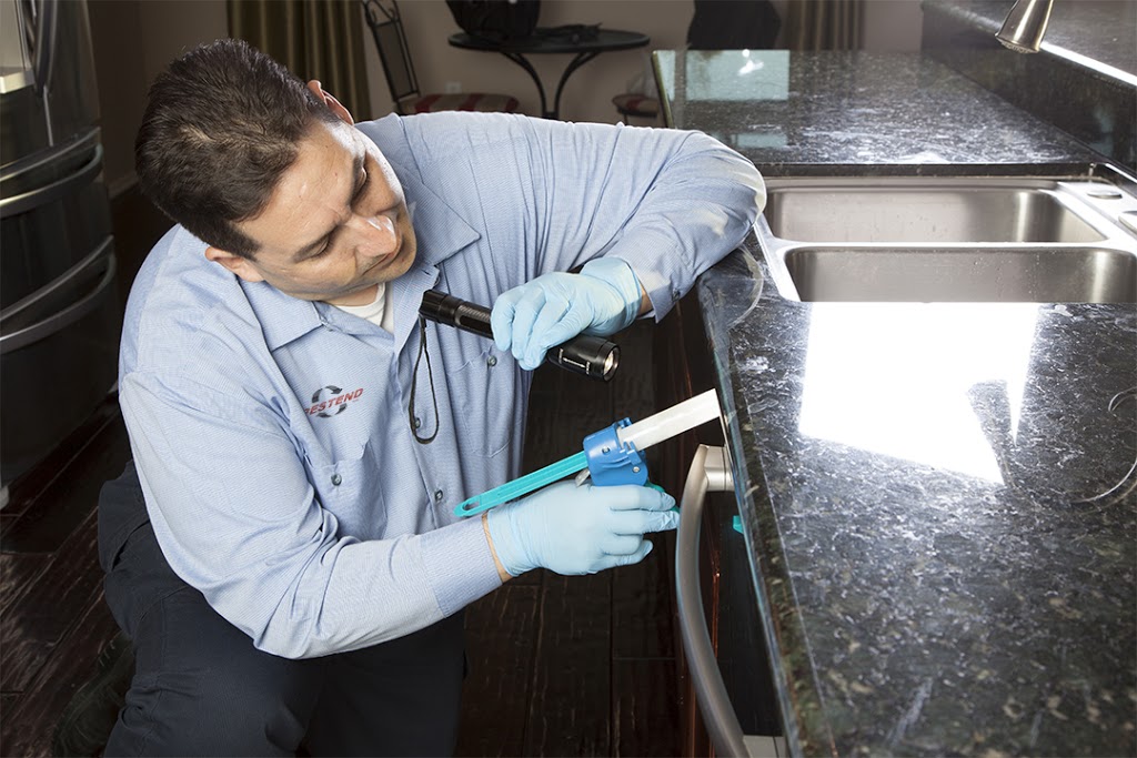 Pestend Pest Control Mississauga | 330 Rathburn Rd W #1209, Mississauga, ON L5B 3Y1, Canada | Phone: (905) 460-7378