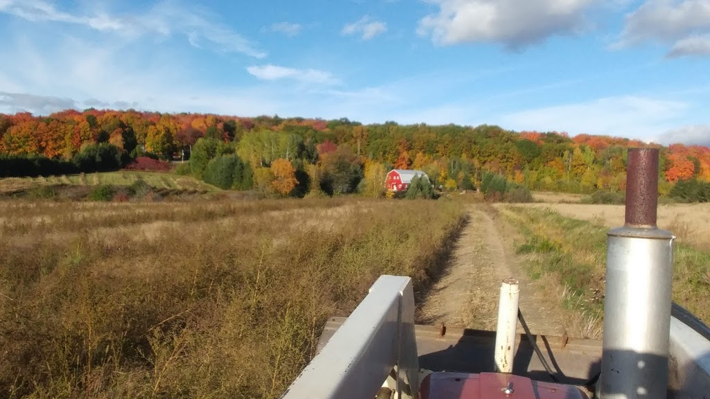 Rucher Mellifera | 3951 Rang Sainte Anne, Saint-Norbert, QC J0K 3C0, Canada | Phone: (450) 835-3266
