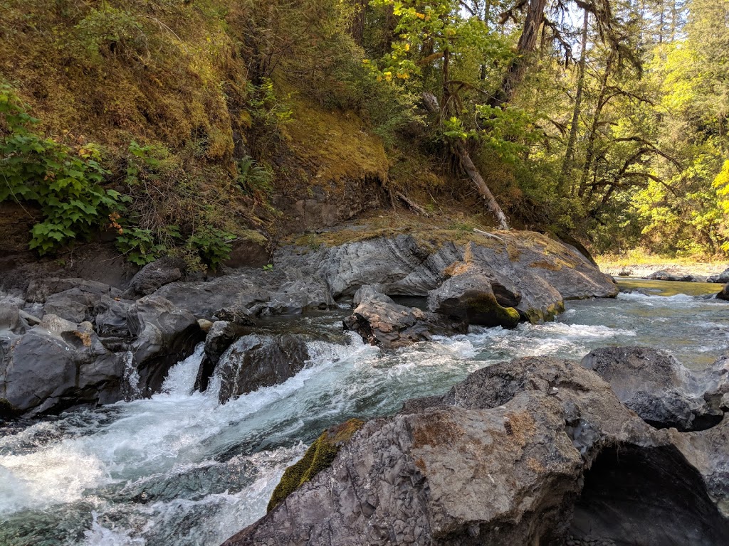Cowichan River Provincial Park | Lake Cowichan, BC V0R 2G0, Canada | Phone: (877) 559-2115