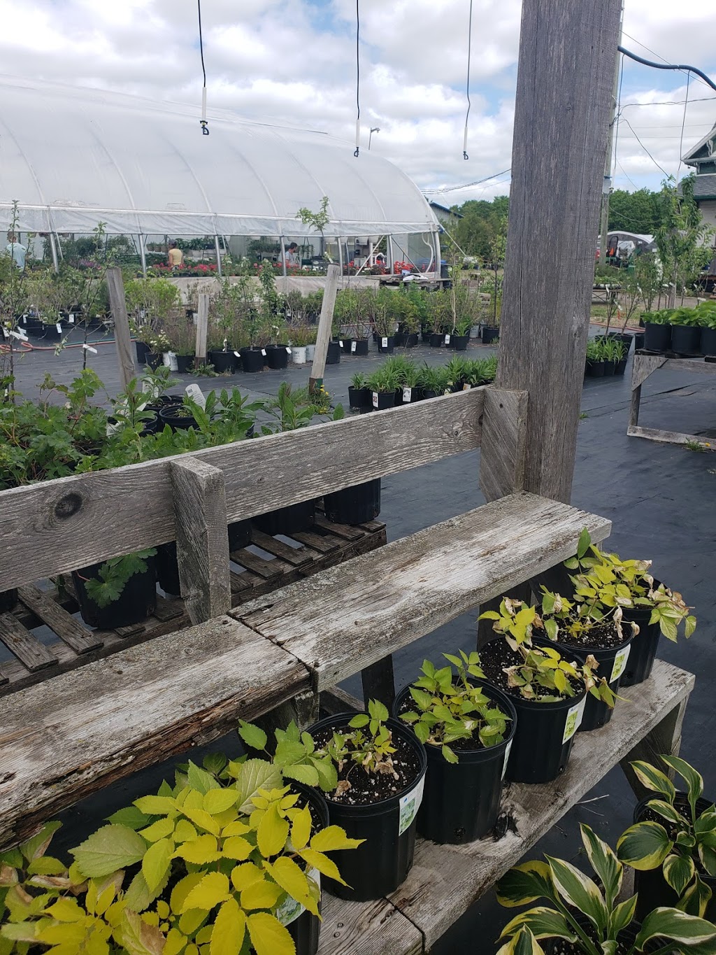 Au jardin Mandeville | 507 Rue Desjardins, Mandeville, QC J0K 1L0, Canada | Phone: (450) 835-4627
