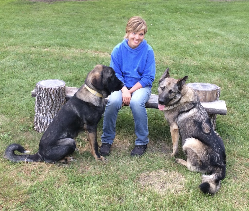 Calm Canine Dog Training | Rd 31W, Graysville, MB R0G 0T0, Canada | Phone: (204) 242-4883