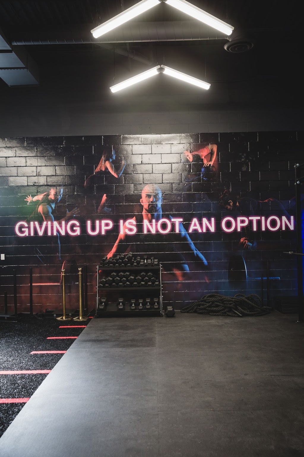 Strength-N-U | 1331 Crestlawn Dr Unit B, Mississauga, ON L4W 2P9, Canada | Phone: (289) 891-9096