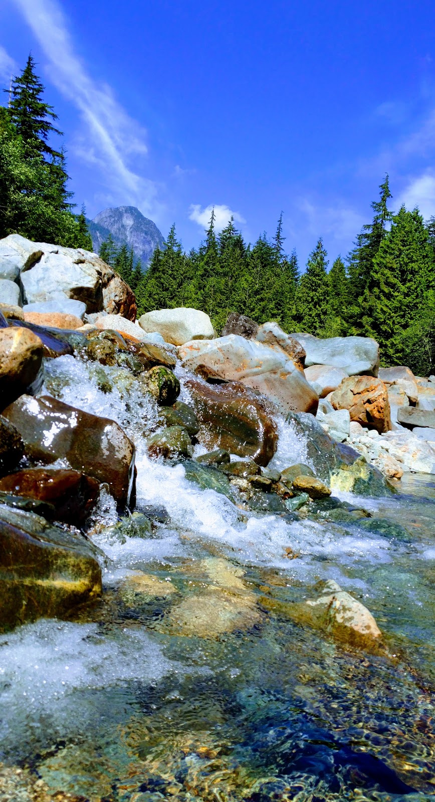 Golden Ears Provincial Park | 24480 Fern Crescent, Maple Ridge, BC V4R 2S1, Canada