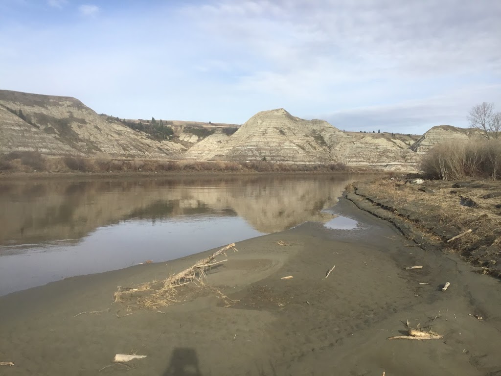 Kingfisher Aquatics Ltd. | 23 Otterbury Ave, Red Deer, AB T4N 4Z8, Canada | Phone: (403) 877-1787