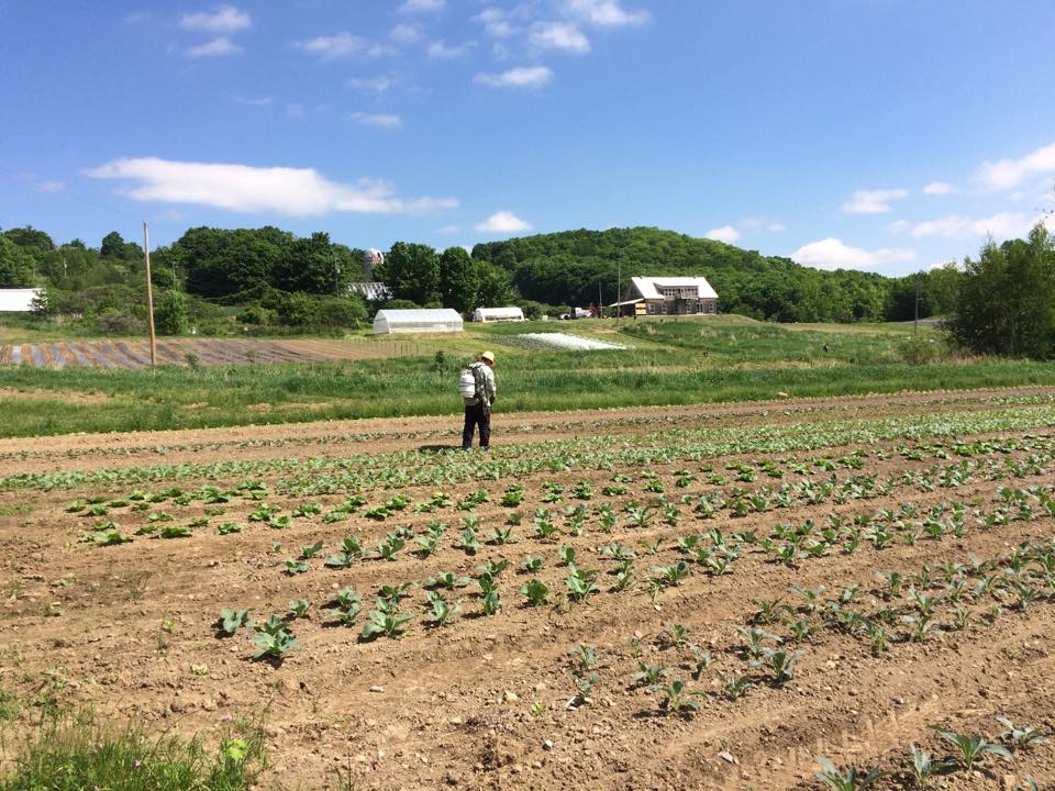 Farm Hill oak solidarity cooperative | 790 Chemin du Lac Gale, Bromont, QC J2L 2S6, Canada | Phone: (450) 578-2125