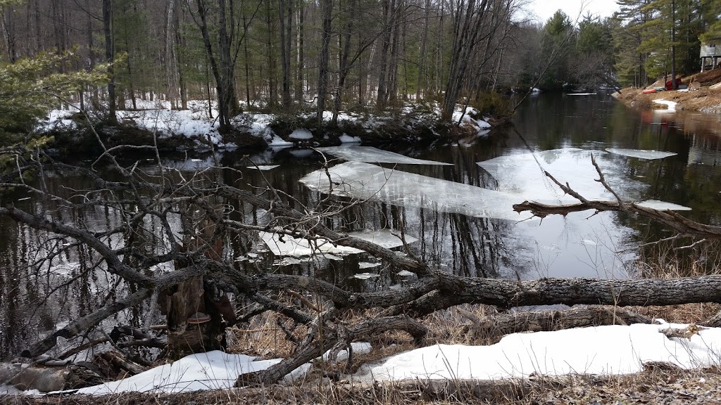 Minesing Wetlands | 363 Mill St, Angus, ON L0M 1T2, Canada | Phone: (705) 424-1479