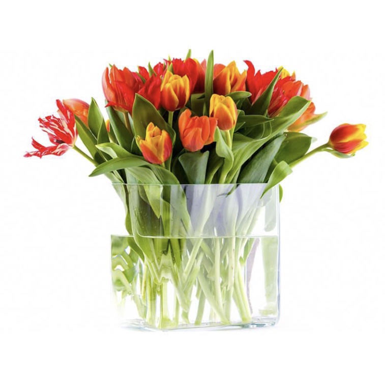 JAS Floral Decor | 5555 Avenue Westminster, Côte Saint-Luc, QC H4G 2J2, Canada | Phone: (514) 567-0888