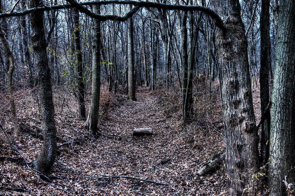 Ojibway Prairie Provincial Nature Reserve | 5200 Matchette Rd, Windsor, ON N9C 4E8, Canada | Phone: (519) 966-5852